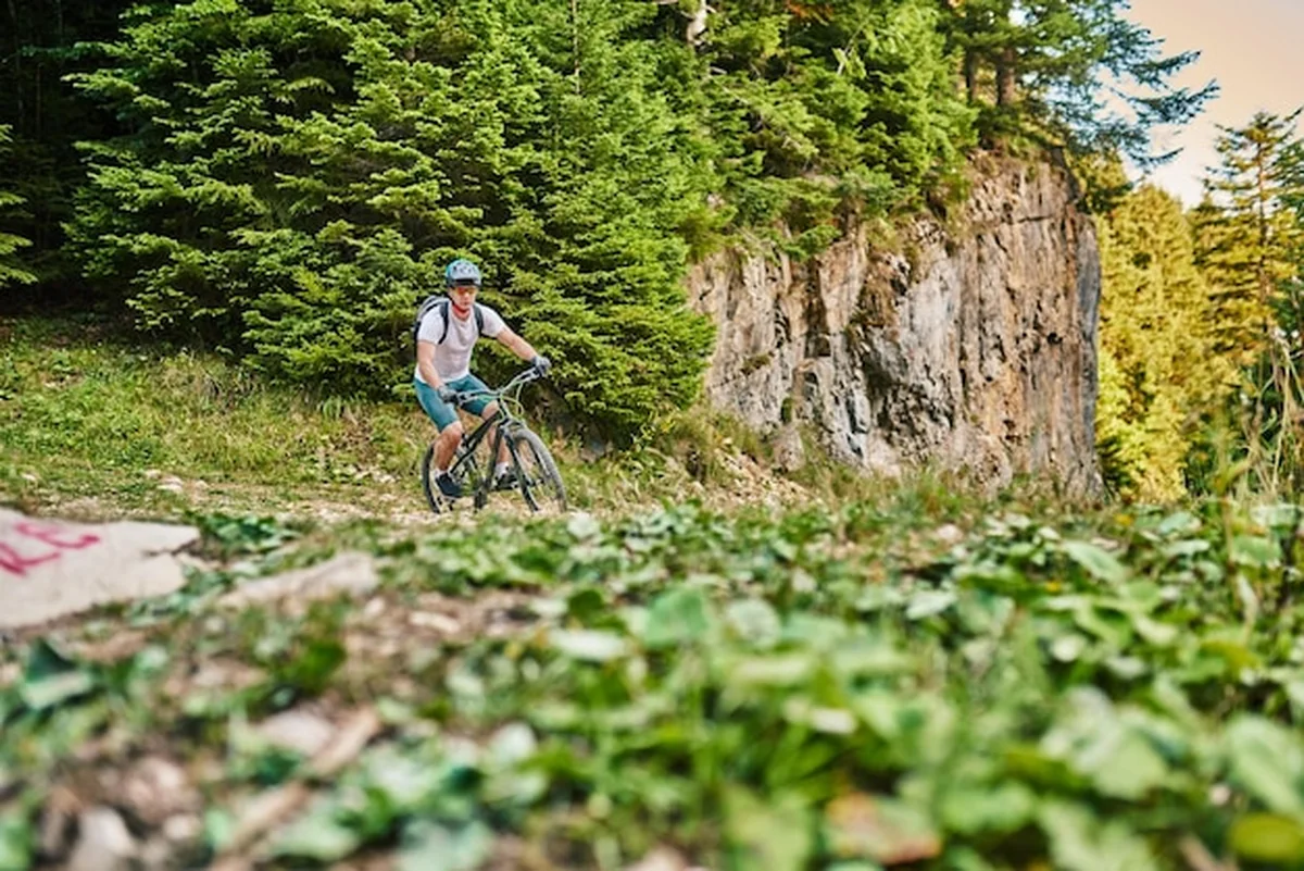 Rowerzysta na rowerze w lesie na szlaku