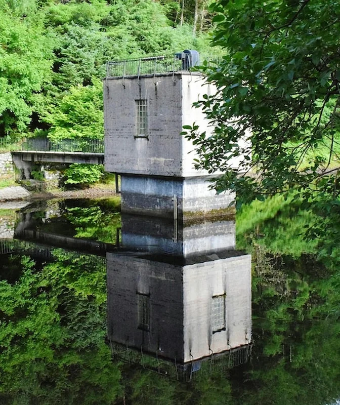 Zbliżenie zbudowanej konstrukcji na tle drzew