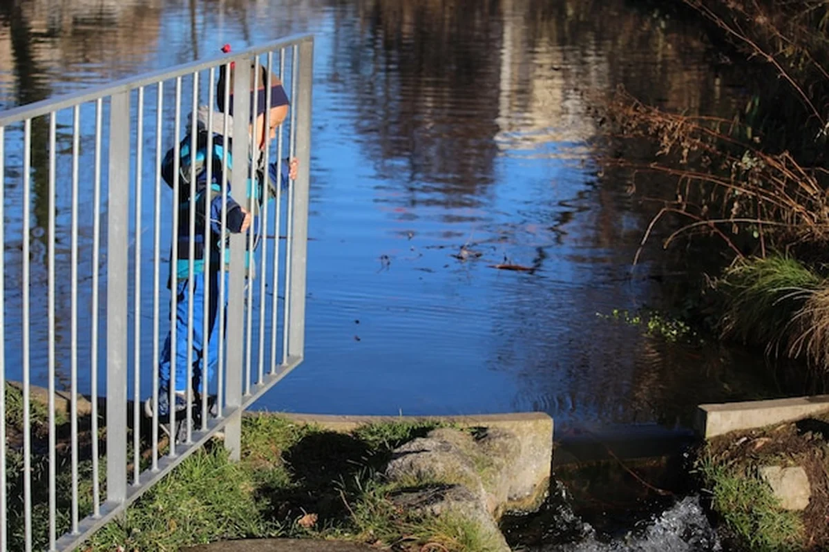 Malowniczy widok rzeki przez drzewa